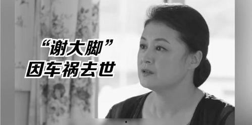 娱乐圈的吃瓜影帝下载,揭秘吃瓜影帝背后的故事